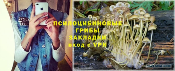 соль ск Мегион