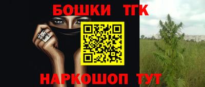 индика Лесосибирск