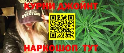 индика Лесосибирск