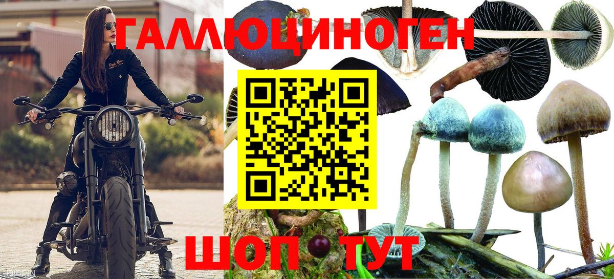Фурманов  Галлюциногенные грибы Psilocybe  Галлюциногенные грибы MAGIC MUSHROOMS  Вход с VPN 