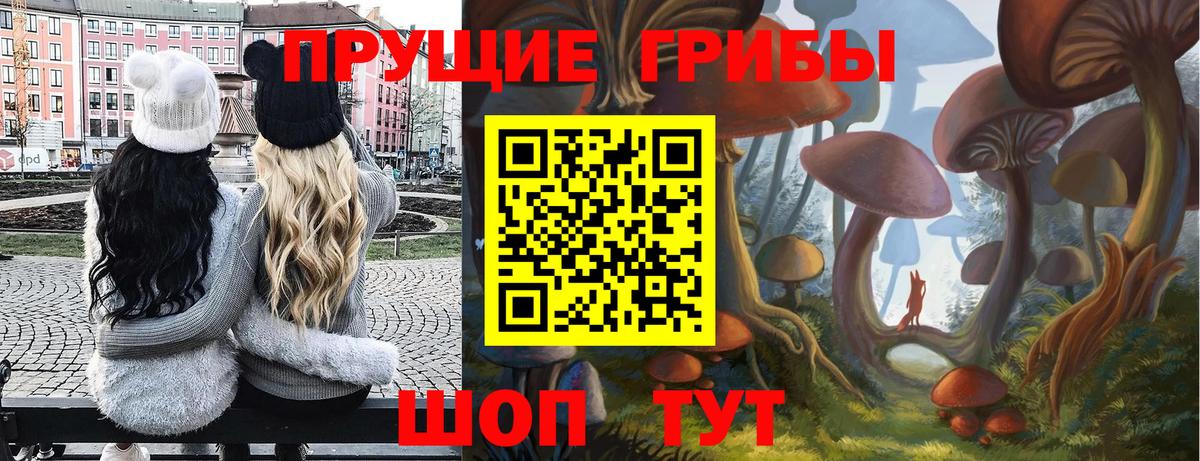 Псилоцибиновые грибы мицелий  Псилоцибиновые грибы мухоморы  Фурманов 